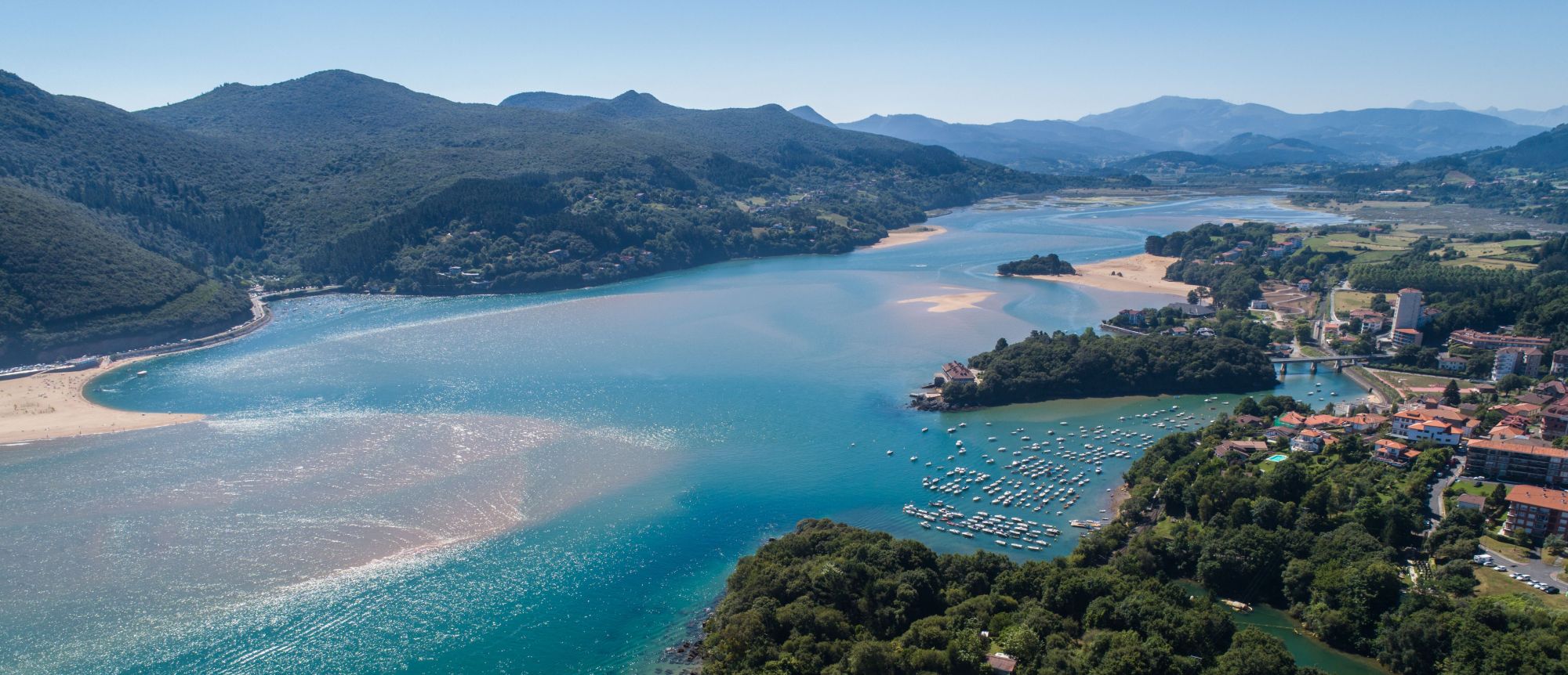 Portuondo