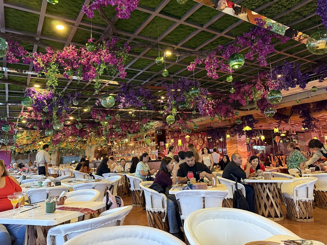 Alma Jalisco | Restaurante con vista a la Catedral GDL