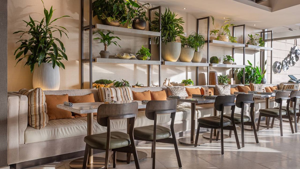 Masi Restaurant