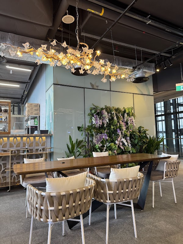 Kimchi Dining | Korean Restaurant Singapore